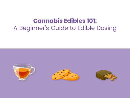 Cannabis Edibles 101: A Beginner's Guide to Edible Dosing - Snoozy