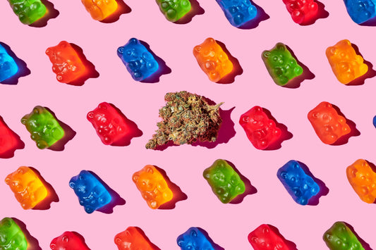 What Are Edibles? An Easy 101