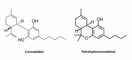 Cannabidiol (cbd) and tetrahydrocannabinol (thc) molecular compound similarities